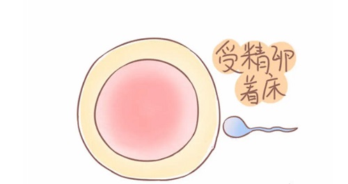 試管嬰兒移植后見紅是好事還是壞事？