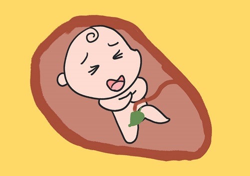 試管費用多少錢