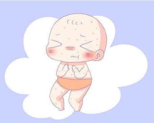 試管嬰兒：取卵數量多少合適？