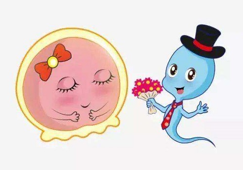 泰國第三代試管嬰兒優勢，好處有哪些