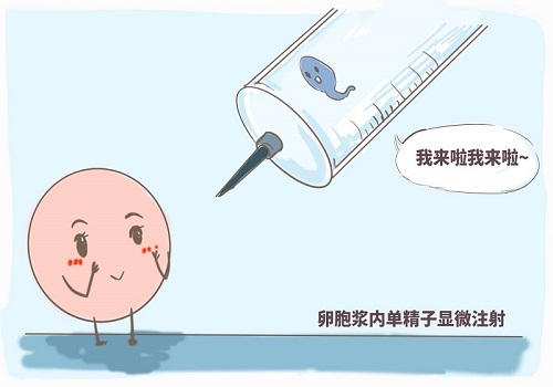 去美國(guó)做試管嬰兒怎么做準(zhǔn)備